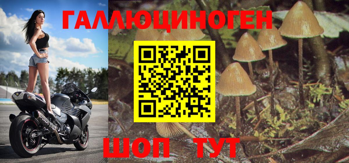 Галлюциногенные грибы MAGIC MUSHROOMS  Галлюциногенные грибы мицелий  Вход с VPN  Зерноград 